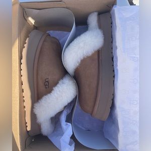 UGG disquette chestnut new in box